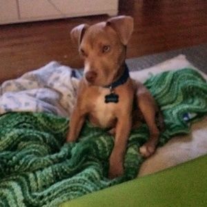 Meet your Posher, Patty